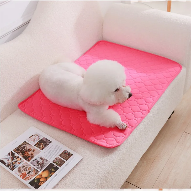 재사용 가능한 강아지 배변 패드 담요 흡수성 기저귀 세 - Cloth Pad Reusable 리뷰 및 가격